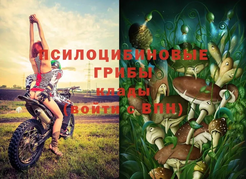 Псилоцибиновые грибы Magic Shrooms  Рязань 